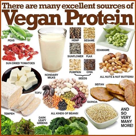 Vegan Protein Foods You Should Be Eating More Often - Fitneass