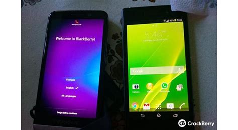 Free fire game mainly designed for shooter game lovers. BlackBerry Z30 Caught on Camera Beside Sony Xperia Z1