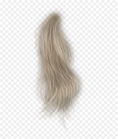 Share Hair Strand Png Latest In Eteachers