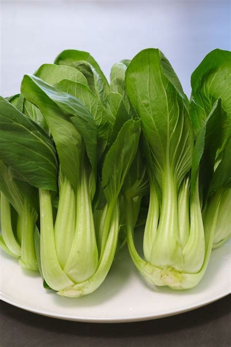 Bok Choy Or Pak Choi 上海青 Is A Type Of Chinese Cabbage And Its In The