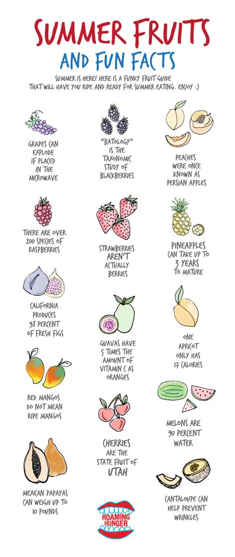 Funky Summer Fruit Guide Roaming Hunger