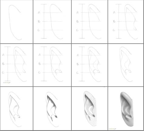 How To Draw Ears Step By Step