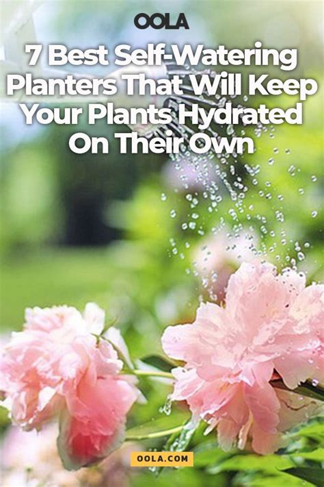 7 Best Self Watering Planters That Will Keep Your Plants Hydrated On