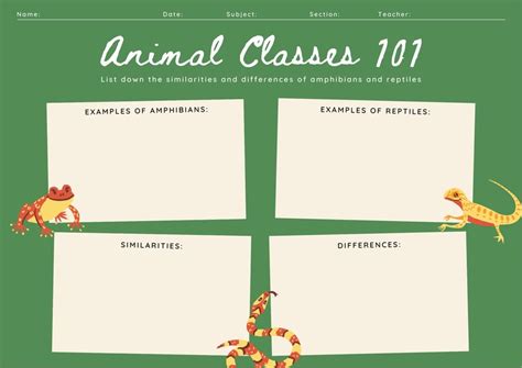Customize 354 Graphic Organizers Templates Online Canva