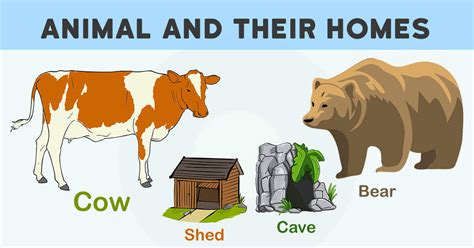 Animal And Their Homes With Pictures Download Pdf And Ppt
