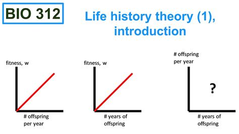 Life History Theory 1 Introduction Youtube