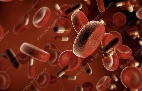 Drug Absorption Stock Image F0023922 Science Photo Library