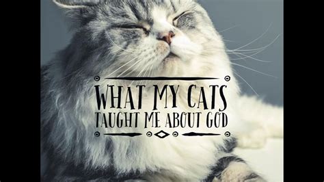 What My Cats Taught Me About God His Desire Is To Increase You Youtube