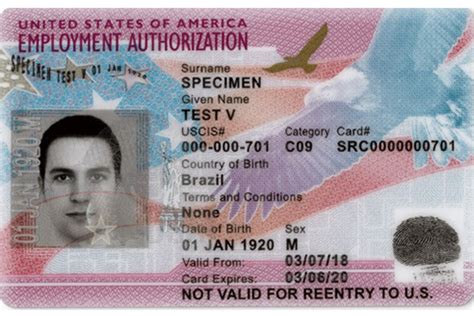 Difference between ead card vs green card. Form I-765, Application for Employment Authorization (for a U.S. Work Permit) - Nilsen ...