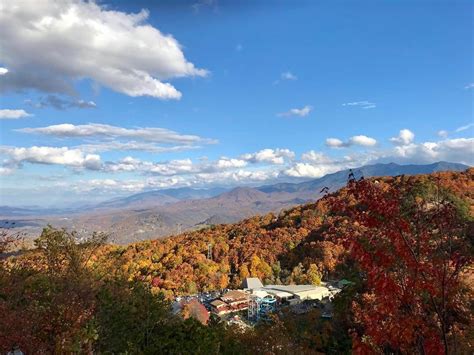 The Top 5 Spots To See Fall Foliage In Gatlinburg Tn
