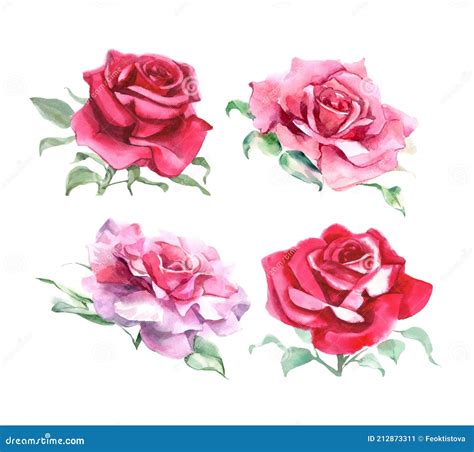 Set Of Pink And Red Roses Watercolor Illustration Stock Illustration