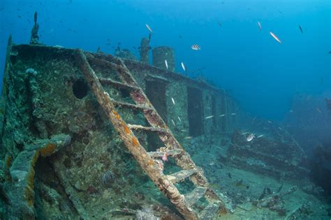 Some artificial reefs were purposely built such as reef balls made from concrete or pvc whilst others are manmade items that have been sunk on purpose such as wrecks or construction debris. Artificial Reefs: Environmental Solution or Problem ...
