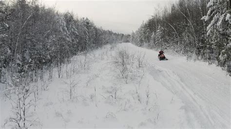 aerial view of red snowmobile in snow covered winter forest in rural finland lapland clip