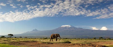This page contains a national calendar of all 2018 public holidays. Kenya Public Holidays 2018 - PublicHolidays.africa