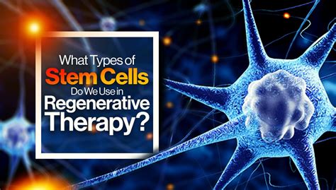 What Types Of Stem Cells Do We Use In Regenerative Medicine The