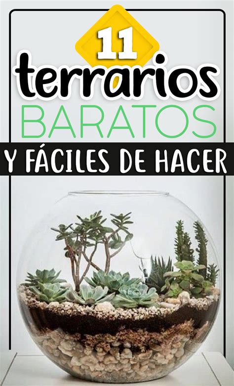 Hacer tu propio terrario es divertido y sorprendentemente fácil, e igualmente fácil de mantener. Haz un terrario, es fácil y no necesitas mucho, ¡te ...