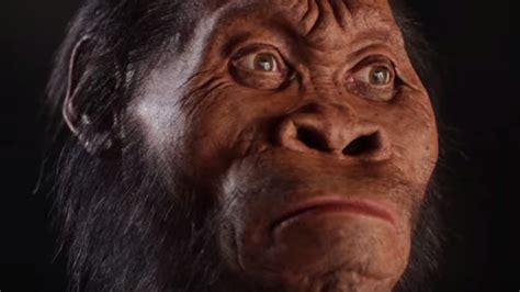 Homo neanderthalensis homo neanderthalensisder neandertaler hatte ein größeres gehirn als die heutigen menschen. 10 fascinating facts about Homo naledi - Voice of the Cape
