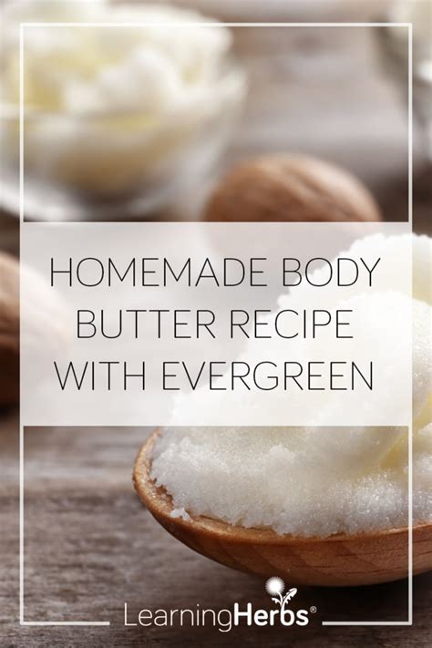 Homemade Body Butter Recipe With Evergreen Learningherbs Herbal