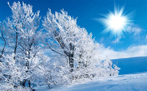 Desktop Wallpaper Winter Scenes Wallpapersafari