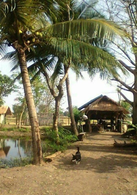 Fruits And Vegetables In The Philippine Folk Song Bahay Kubo Nipa Hut