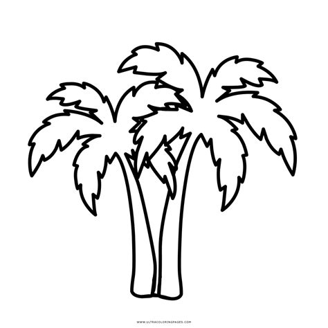 35 Palm Tree Coloring Sheet Zsksydny Coloring Pages