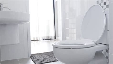 Classic equipment—for the traditional diagonal stride • go with. How to Stop the Toilet Seat From Shifting Sideways ...