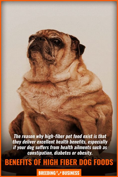 A high fiber dog food has a bulking action enabling large stools to press against the gland. High Fiber Dog Foods - Reviews, Top Ingredients, Benefits ...
