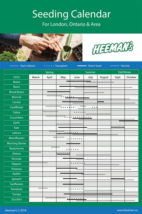 Seeding Calendar Ontario When To Plant Vegetables Garden Plants