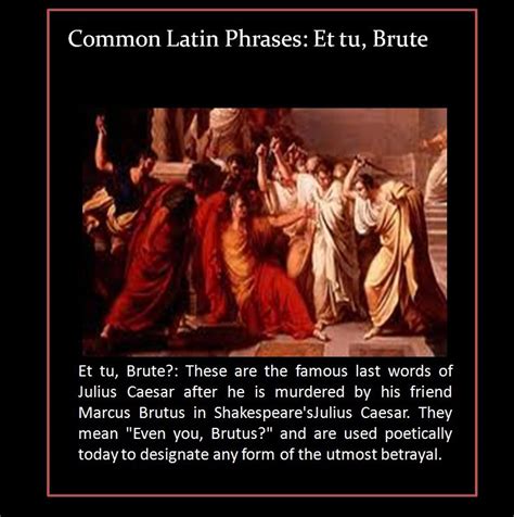 Julius Caesar Quotes Brutus Shortquotescc