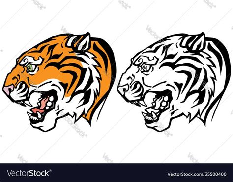 Two Tiger Heads On White Background