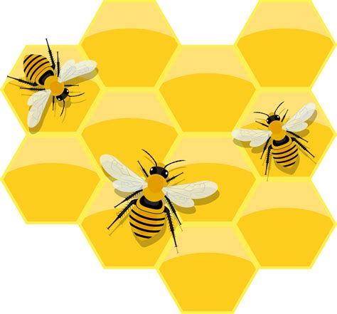 Bienenwabe Png Free Images With Transparent Background 707 Free