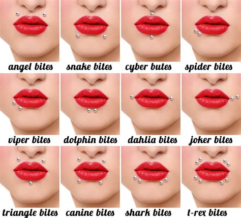 Lip Piercing Types Rich Image And Wallpaper