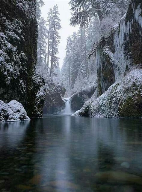 Peaceful And Amazing Winter Landscape Winter Scenery