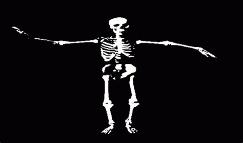 Skeleton Dancing Gif Skeleton Dancing Animation Discover Share Gifs