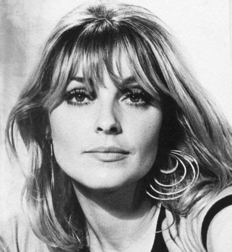 Sharon Tate Photographed By Peter Mitchell 1966 Sharon Tate Fan
