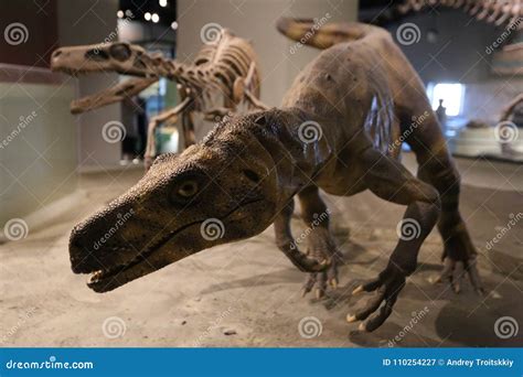 Jurassic Period Editorial Photography Image Of Edaphosaurids 110254227
