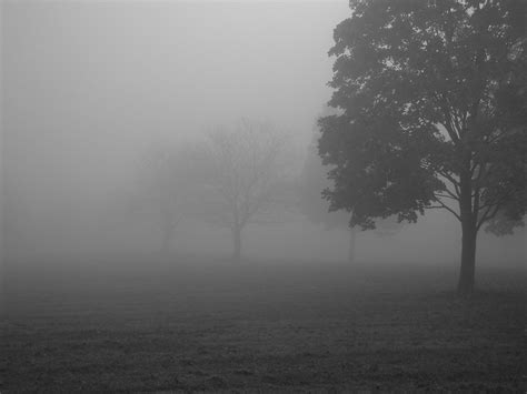 Foggy Morning Free Photo File 1468348