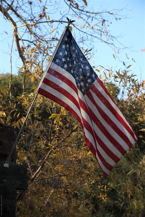 American Flag Hanging Infront Of Trees By Stocksy Contributor Carey