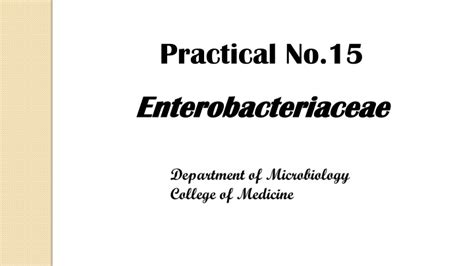 Ppt Practical No15 Enterobacteriaceae Powerpoint Presentation Free