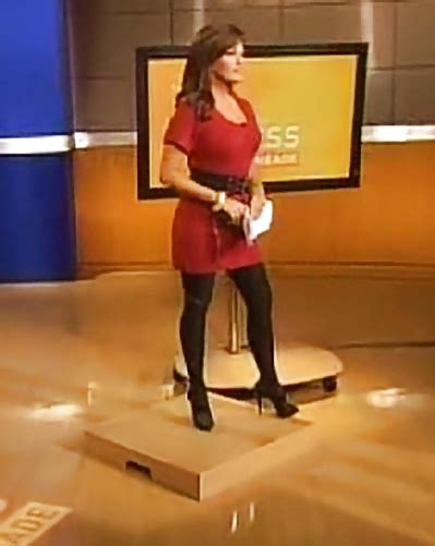 Newsbabe Robin Meade With Fakes 2 67 Pics Xhamster