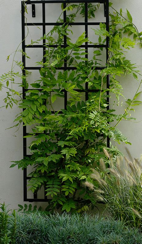 We have many metal trellis and privacy screens available in several styles. Small Modern Wall Trellis. Made of steel. Galvanised and ...