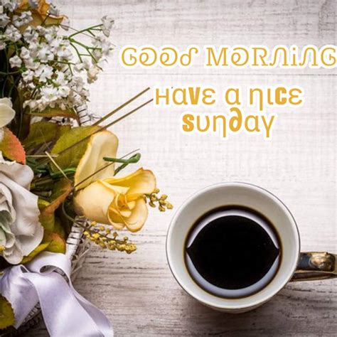 150+ good morning Sunday images photos pictures free download - Best ...