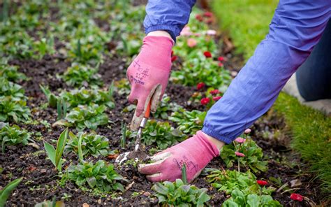Top Tips On How To Remove Weeds Weeds Out Of Your Garden And Keep Them