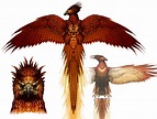 Phoenix | Harry Potter Wiki | FANDOM powered by Wikia
