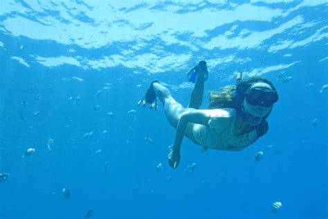 Snorkeling At Manta Level And Manta Bay Nusa Penida Bali My Blog