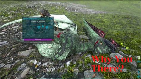 Tranq Dart Madness The Ultimate Ark Challenge The Island Youtube