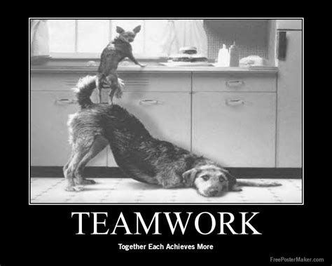Explore that and 10 other coolest teamwork quotes. Pin van Mary Smiley HR & Coaching op sarcasm | Schattige ...