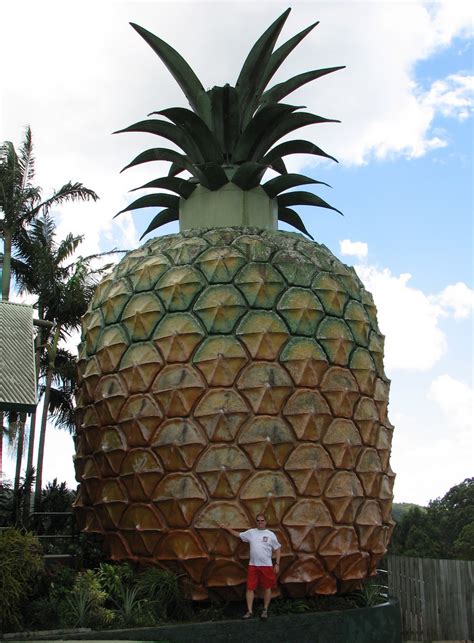 Queensland’s Big Pineapple