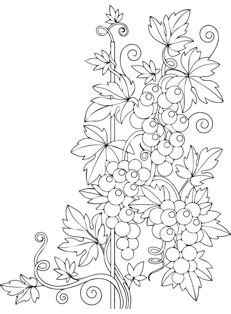 28 Free Printable Grapes Coloring Pages