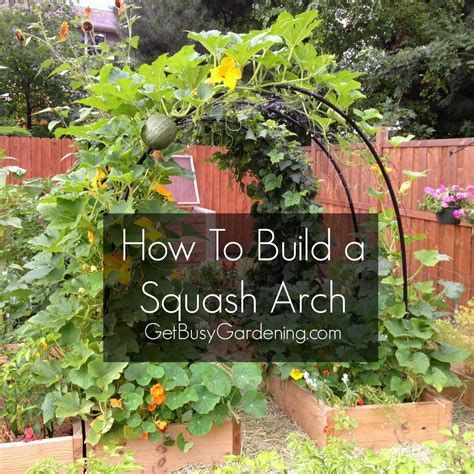 How To Build A Pvc Squashcucumber Arch Diy Garden Trellis Squash